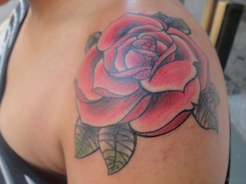 Una bellissima rosa fresca ed aulentissima.