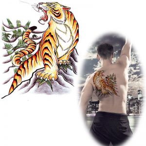 Tigre in Cina