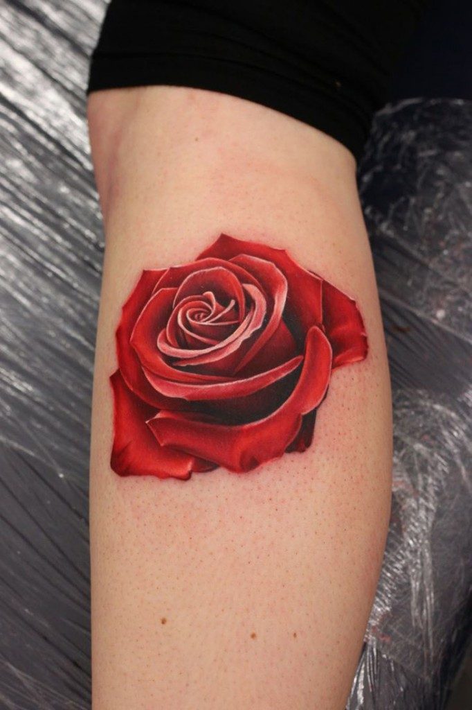 rosa