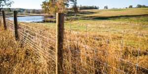 bekaert-quality-fencing-barbed-wire-fixed-knot