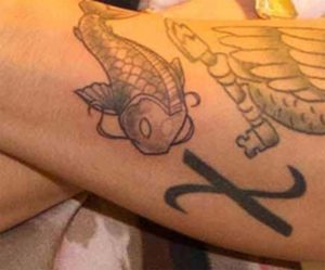 carpa koi