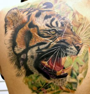 tigre gialla
