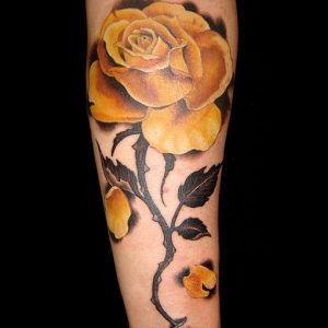 rosa