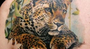 leo5