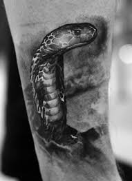 tatuaggio-cobra-bianco-nero