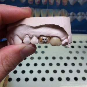 tatuaggio-sui-denti-cane