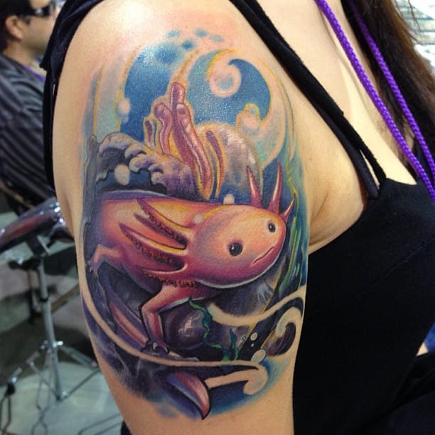 Axolotl 4